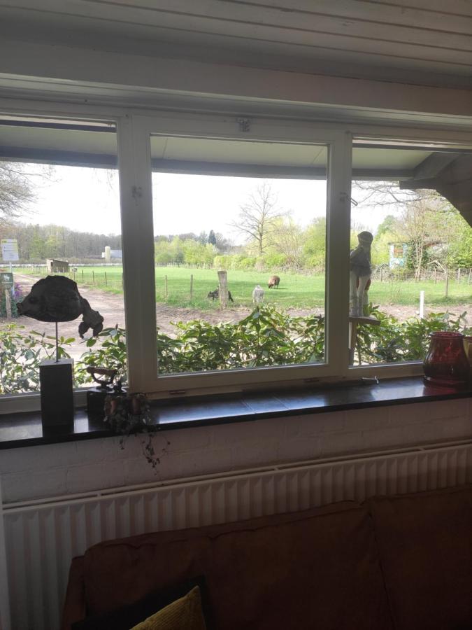 Bergerhof De Stal Apartment Sevenum Luaran gambar